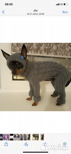 Вязаная одежда для собак и кошек