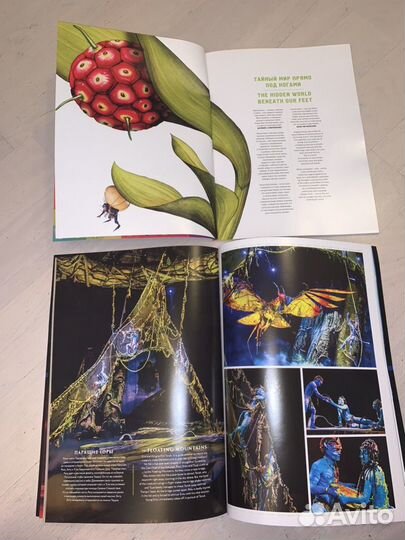 Брошюры Цирк дю Солей - OVO и Toruk