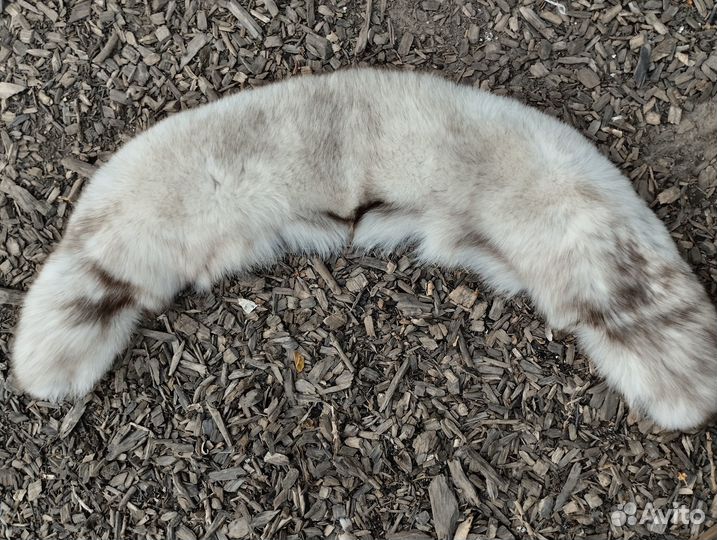 Воротник песец