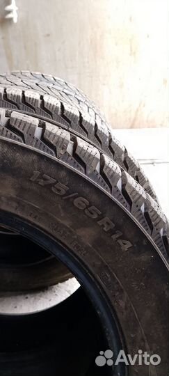 Viatti Brina 175/65 R14