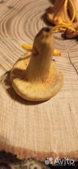 Брелок для ключей