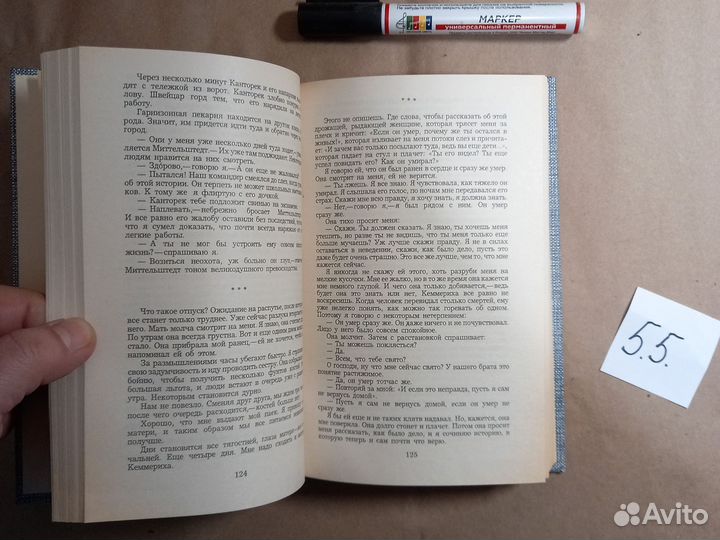 На Западном фронте без перемен. Три товарища Ремар