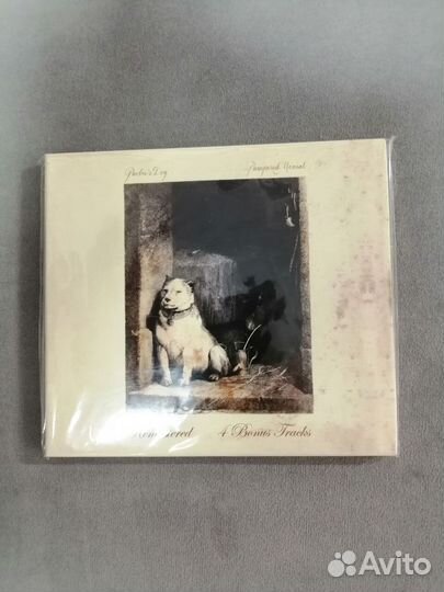 CD Диски (rock,prog)