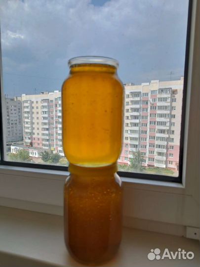 Мед цветочный с рапсом. Бесплатная доставка