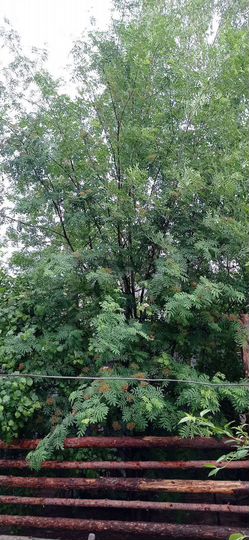 Дом 60 м² на участке 10 сот.