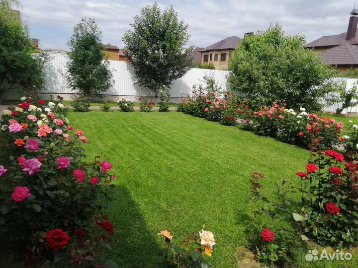 Рулонный газон под ключ