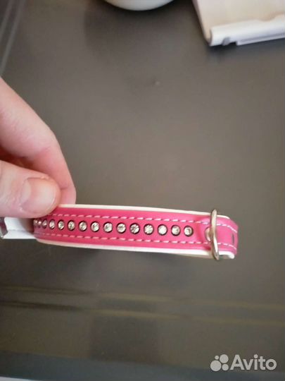 Ошейник на маленькую собачку