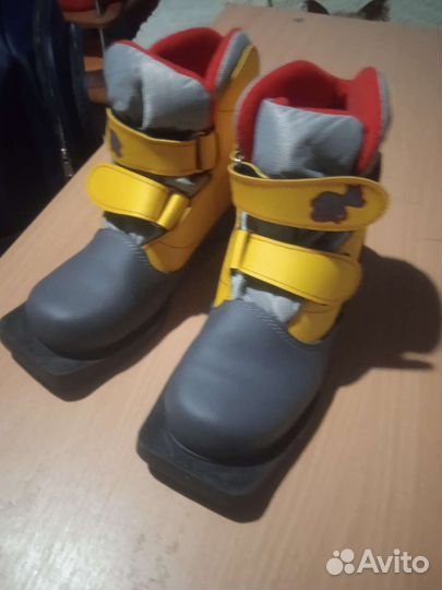 Лыжные ботинки