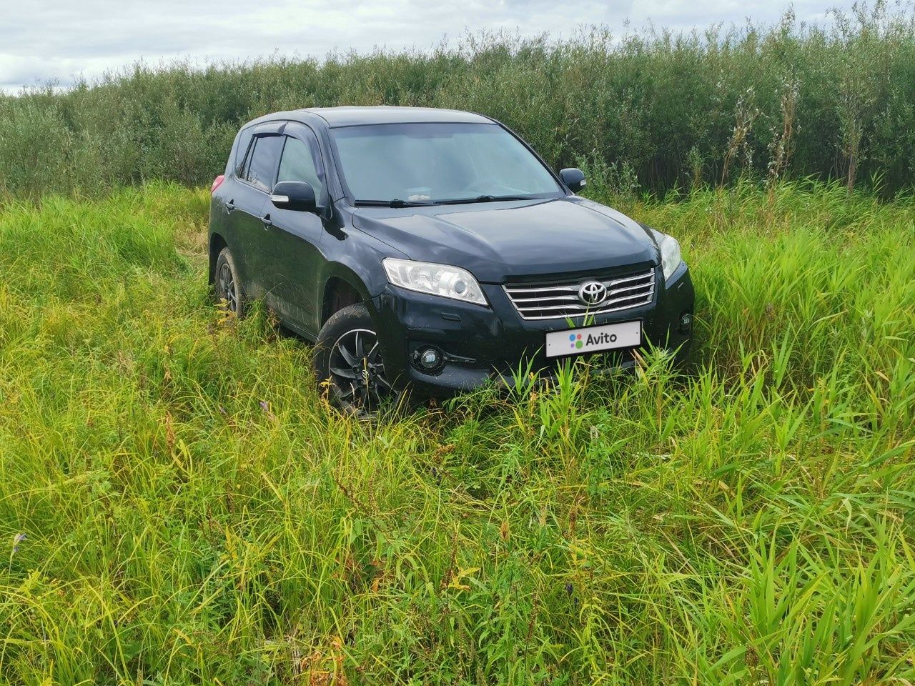 Toyota RAV4: фото владельца