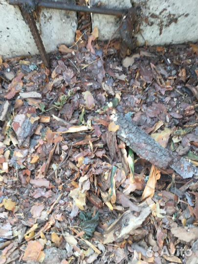 Опилки, кора,бесплатно самовывоз