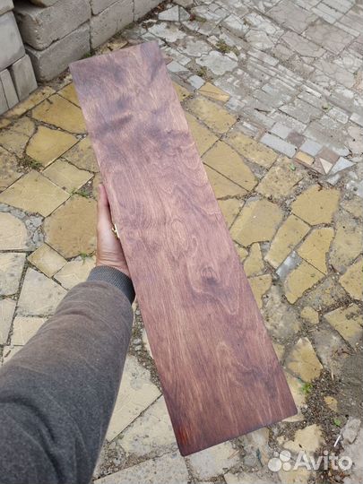 Поводочница фидерная