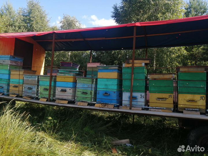 Телега для пчёл