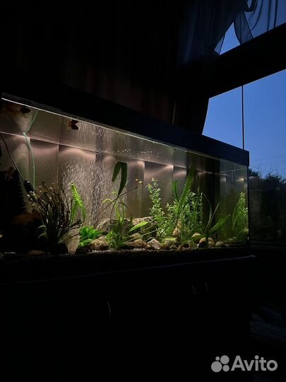 Аквариум 400 л. по 