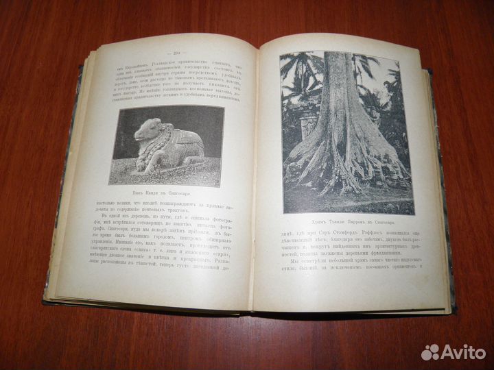Антикварные книги. В стране вулканов. 1897г
