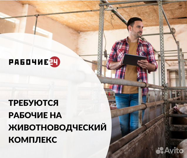 Разнорабочие на вахту