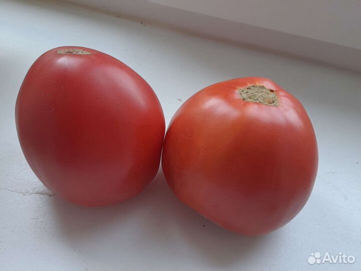 Помидоры вкусные,крупные,мясистые