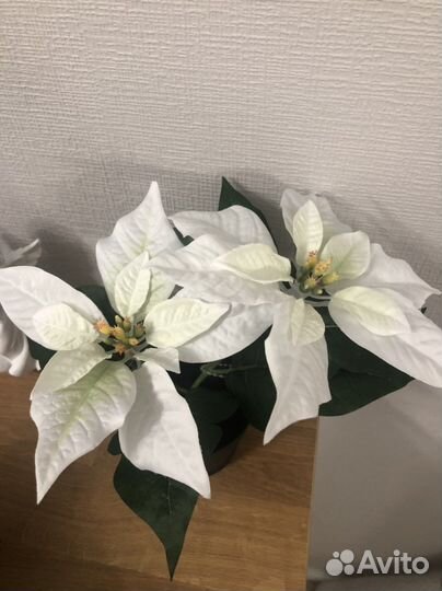 IKEA фейка цветок искусственный