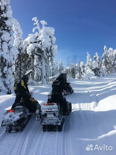 Прокат, туры на снегоходах brp ski-doo, stels