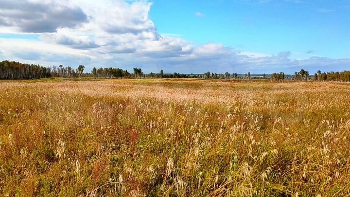 Участок 47,5 га (СНТ, ДНП)