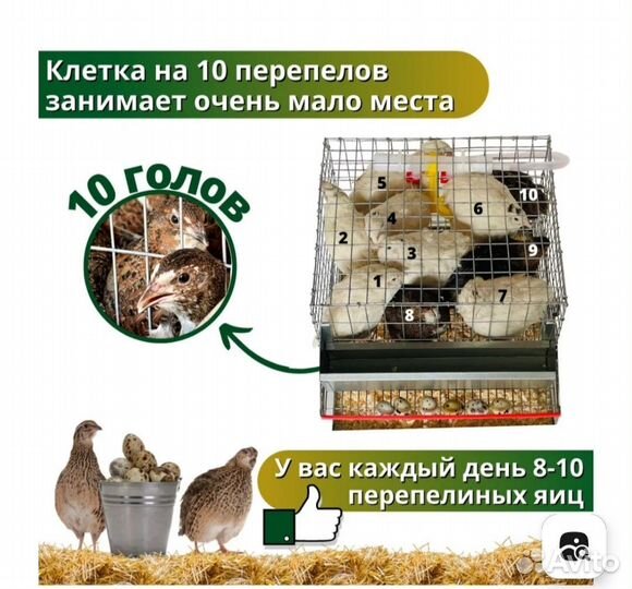 Клетка для перепелок