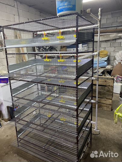 Нипельные поилки для птиц