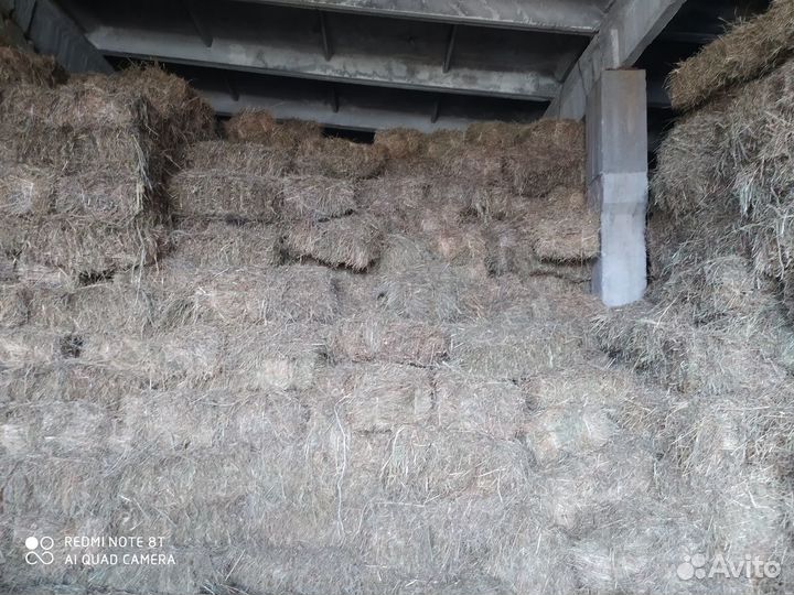 Сено и солома