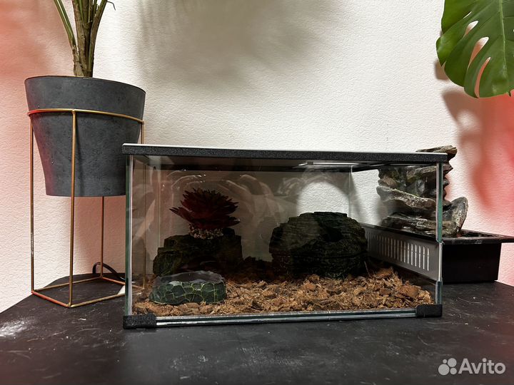 Террариум для эублефара, змеи, рептилий