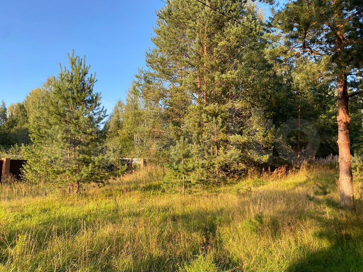 Участок 10 сот. (ИЖС)