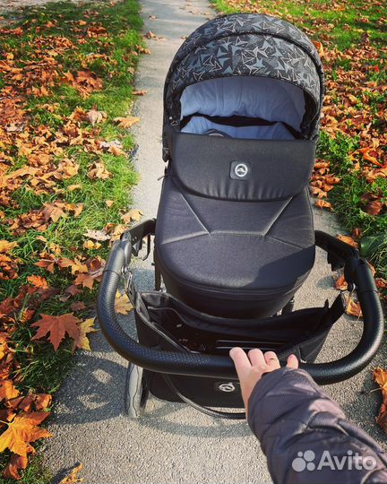 Коляска 2 в 1 adamex