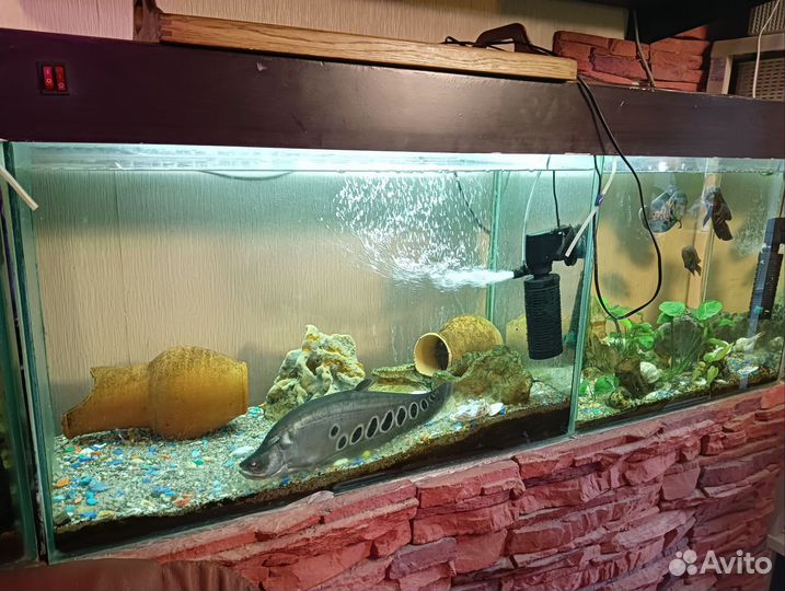 Аквариумы 3 штуки с тумбами