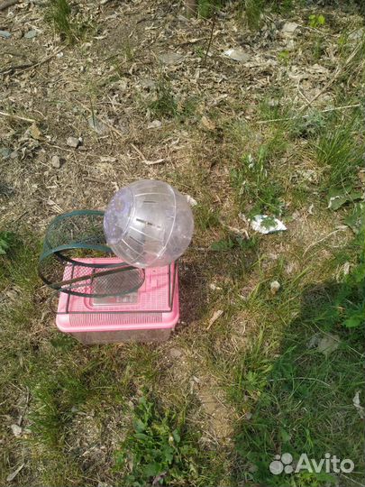 Товары для домашних животных