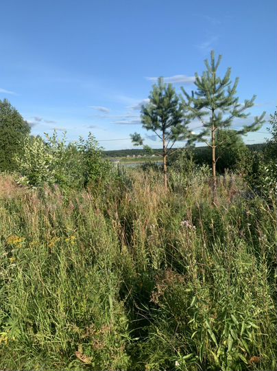 Участок 8 сот. (ИЖС)