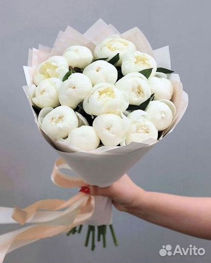 Пионы Цветы Доставка