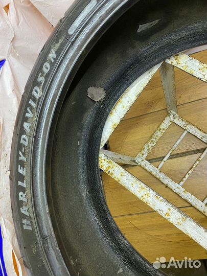 240/40/18 michelin scorcaer 11 (e41-1м)