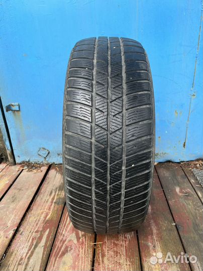 Barum Polaris 5 205/55 R16
