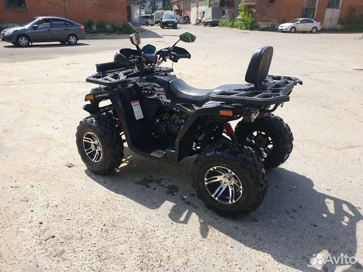 Avantis hunter big premium