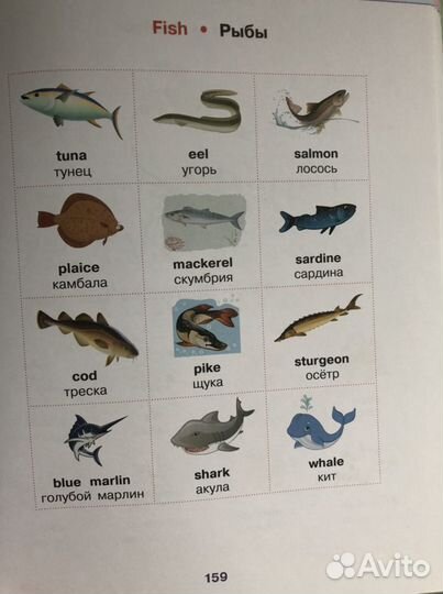 5 словарей английского языка в одном