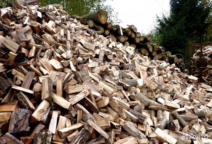 Кора березы