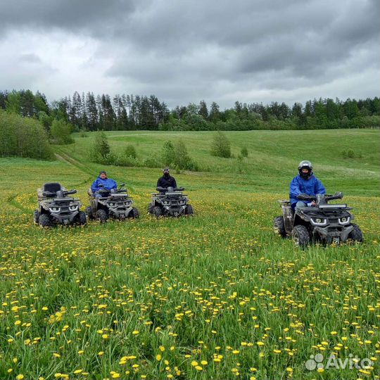 Туры на квадроциклах от1 часа до 3дней(Карелия)