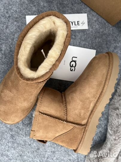 Угги женские Ugg Classic Mini Chestnut