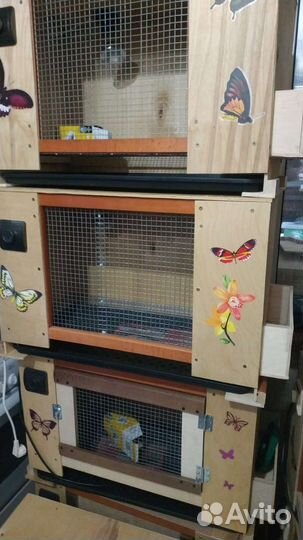 Клетка, брудер для цыплят