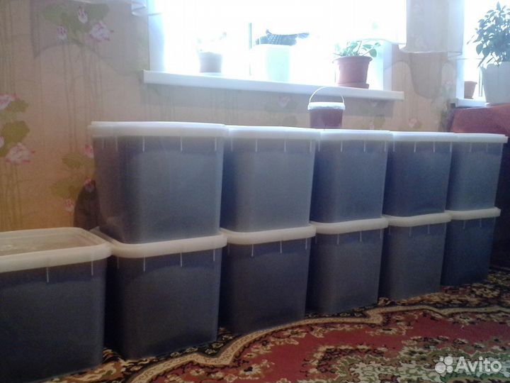 Мёд Алтайский цветочный/разнотравье/гречиха