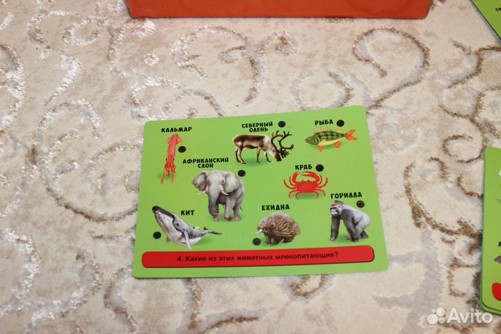 Игра с ручкой 