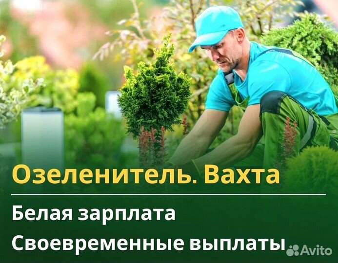 Вахта 60/30 Жильё питание (Озеленитель )