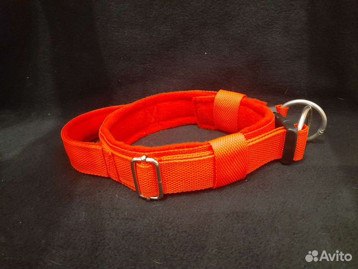 Амуниция для собак