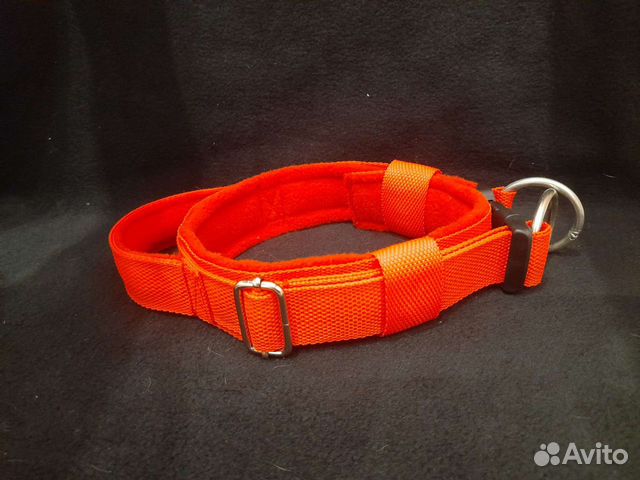 Амуниция для собак