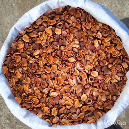 Скорлупа кедрового ореха доставка выгрузка