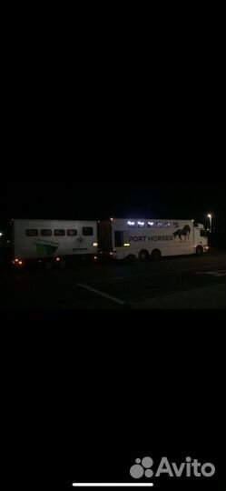 Перевозка лошадей, Коневоз, Конеперевозки