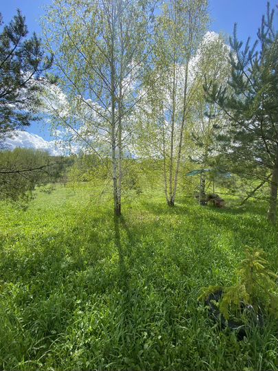 Участок 19 сот. (ИЖС)