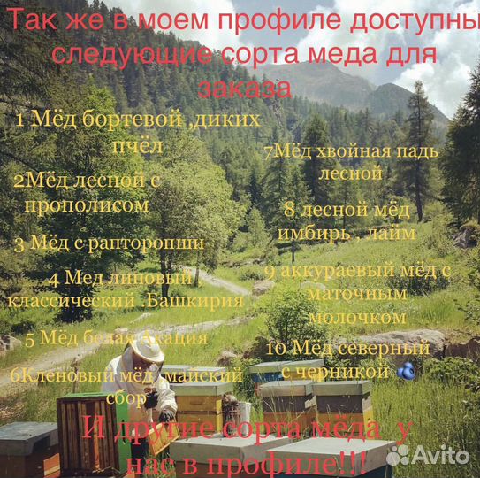 Аккураевый мёд